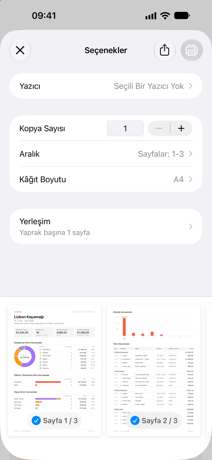 PDF rapor ve yazdırma